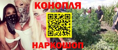 прущий лед Будённовск