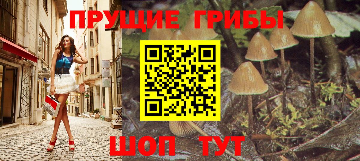 Галлюциногенные грибы Psilocybe  Вход с VPN  Североуральск 